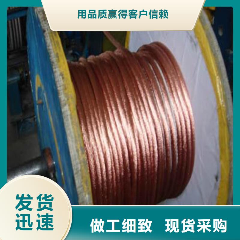 铜绞线紫铜排严格把关质量放心货源报价