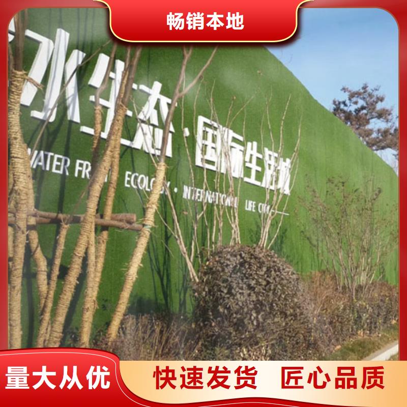 围挡草坪-围挡草坪网实拍展现同城品牌