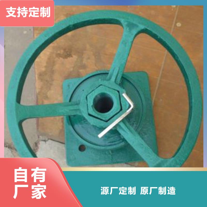 启闭机_液动限流闸门一手货源实地大厂