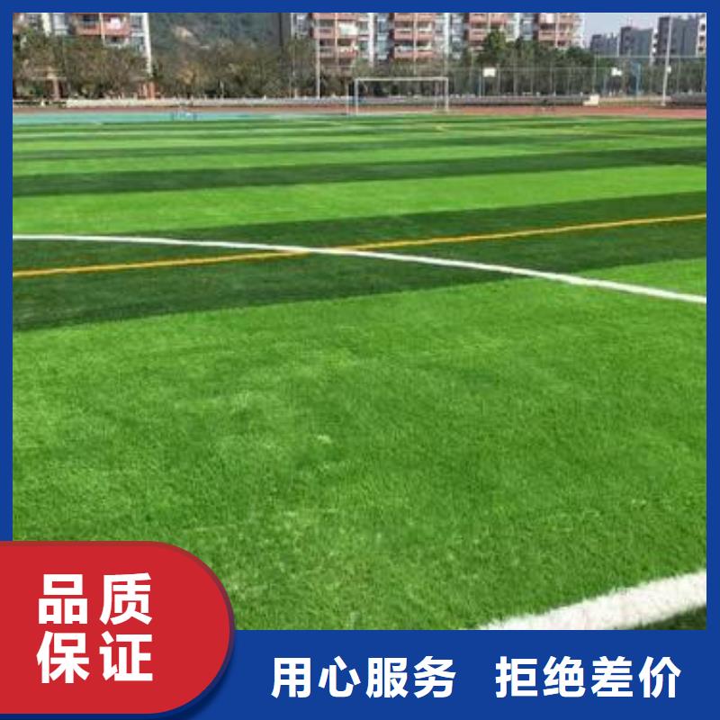 人造草坪-运动地板真实拍摄品质可靠本地制造商