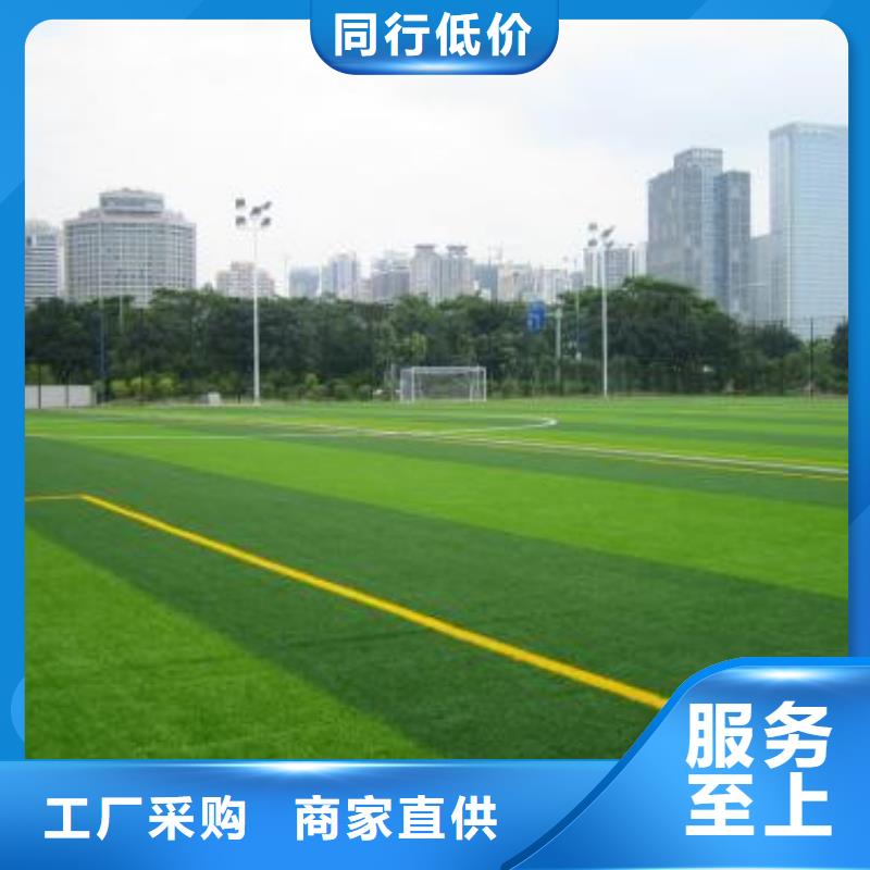 人造草坪同质透心地材品质保障售后无忧同城服务商