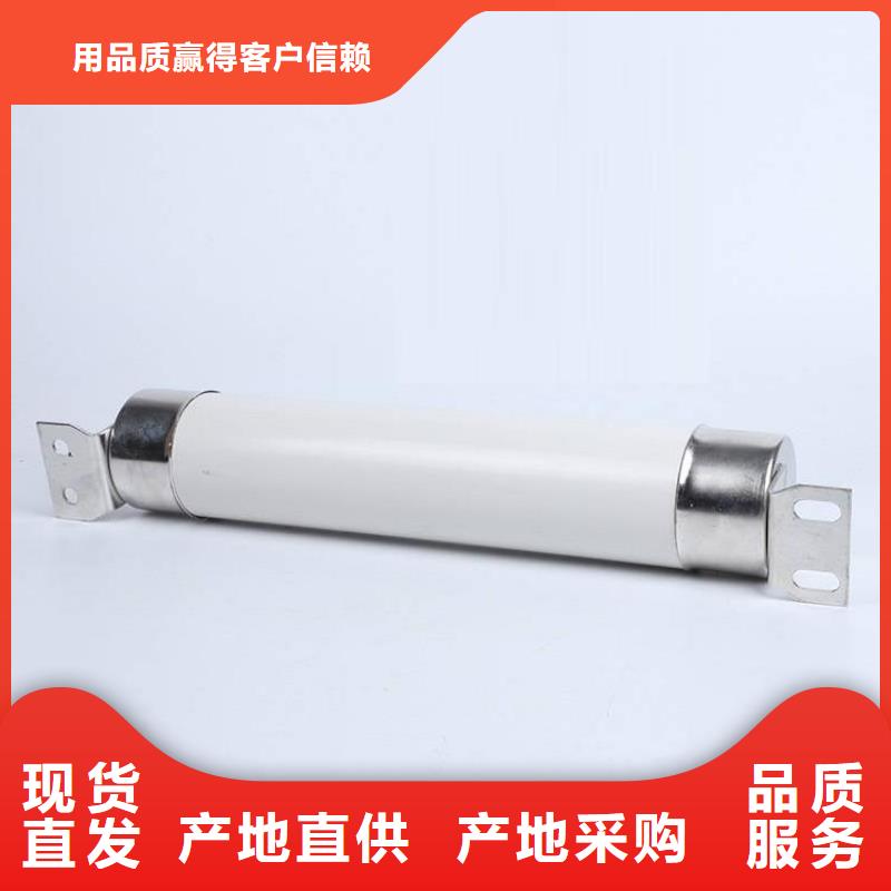 高压熔断器XRNT-12KV熔断器N年大品牌今年新款