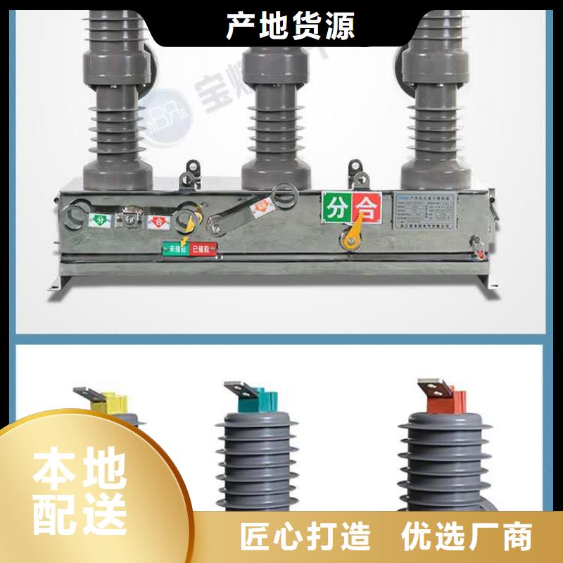 真空断路器高压限流熔断器好品质选我们适用场景