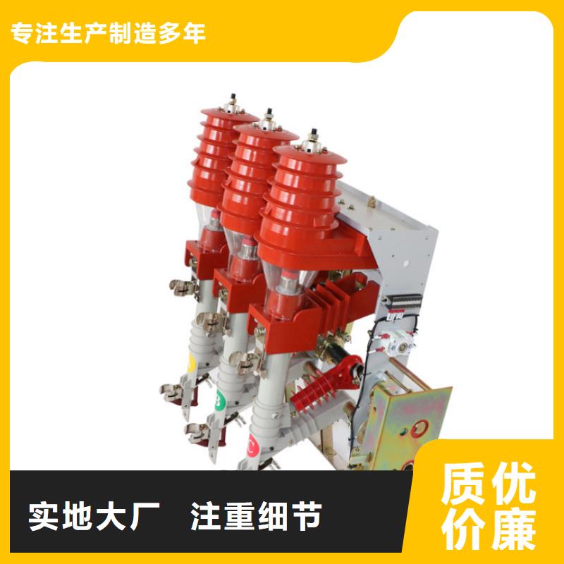 高压负荷开关高压氧化锌避雷器源厂定制种类多质量好