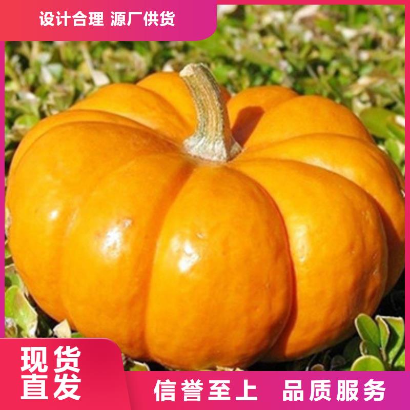 【南瓜丁】-胡萝卜丁厂家产品优良