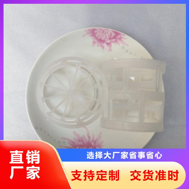 【鲍尔环填料】蜂窝活性炭追求细节品质当地生产商