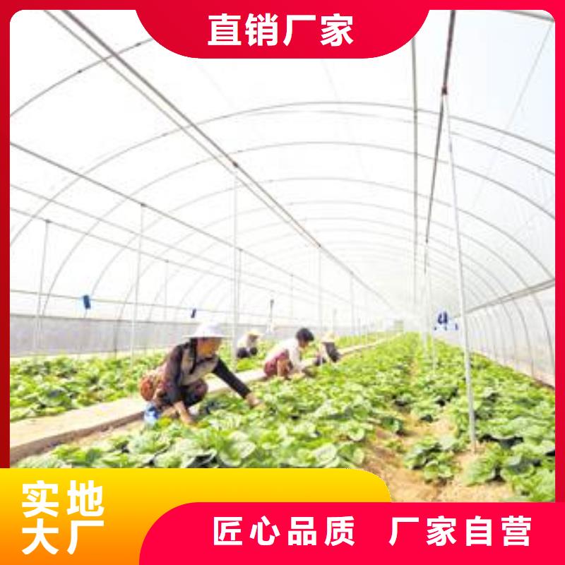 大棚管连体大棚支持定制加工欢迎新老客户垂询