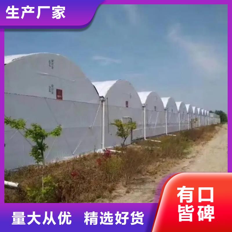 大棚管温室大棚管款式新颖当地生产商