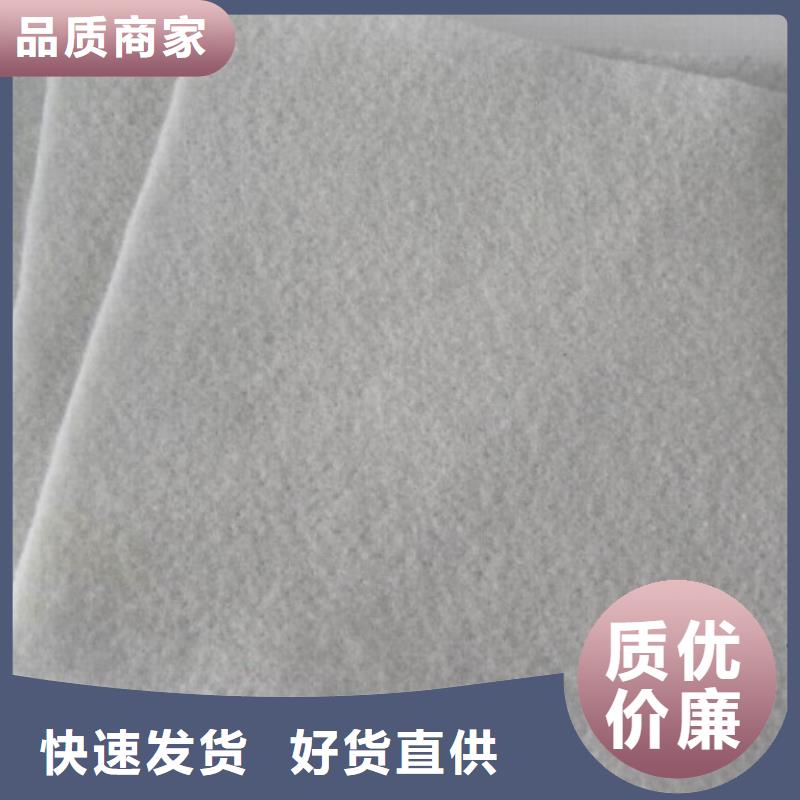 【土工布】涤纶土工格栅免费询价价格实在
