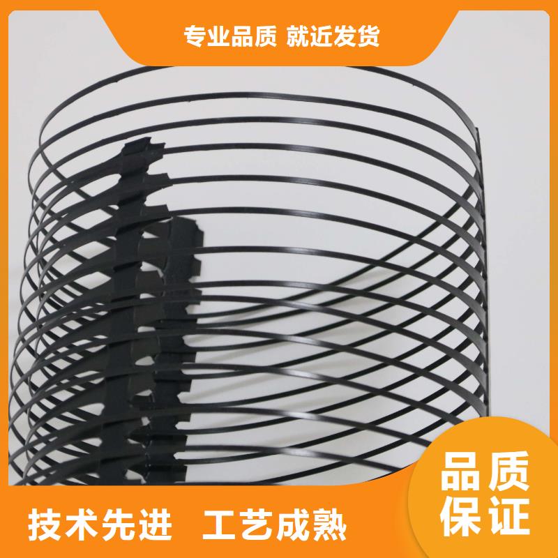 单向塑料土工格栅HDPE土工膜做工精细本地货源