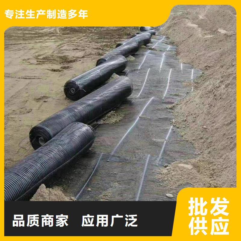 单向塑料土工格栅涤纶土工格栅厂家直销值得选择附近厂家