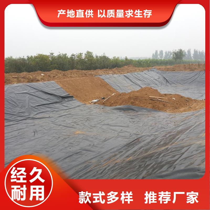 土工膜双向塑料土工格栅高质量高信誉一手价格