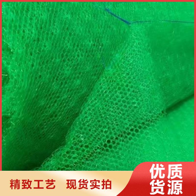 三维植被网土工格室N年大品牌同城服务商