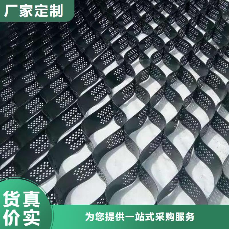 土工格室-【三维植被网】库存丰富一站式厂家