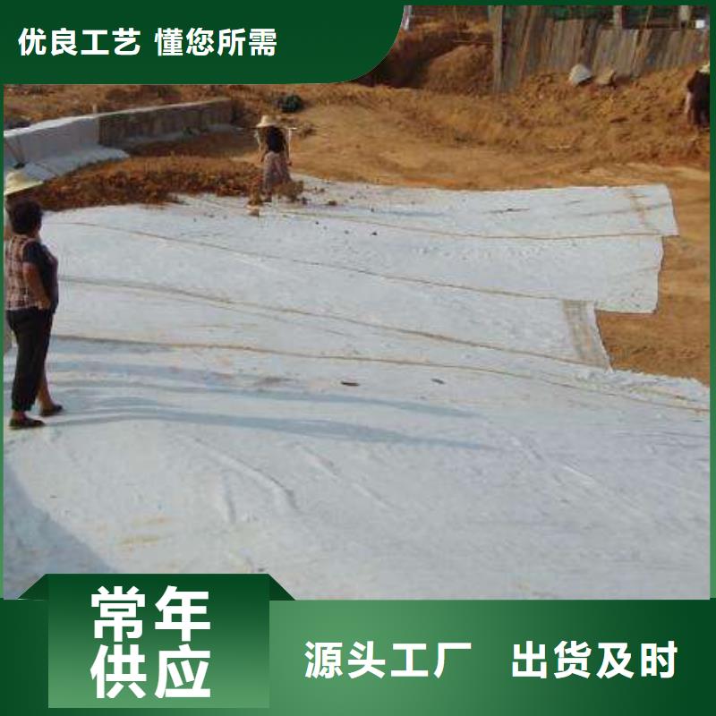 【膨润土防水毯】-城建土工膜款式新颖老客户钟爱