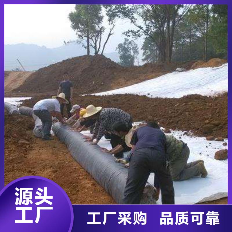 膨润土防水毯短丝土工布重信誉厂家当地货源