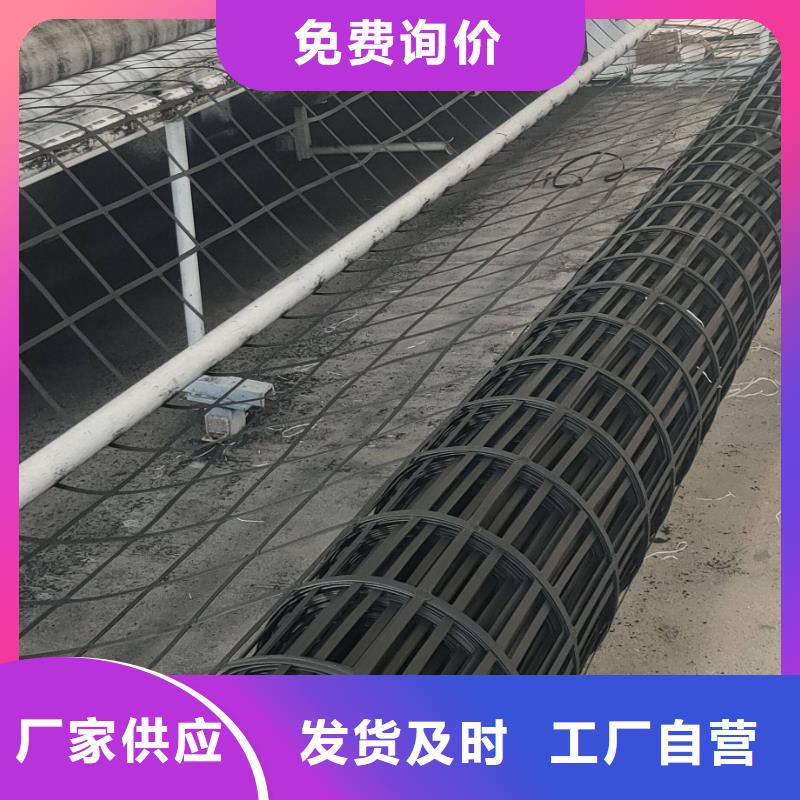 钢塑土工格栅工程布贴心服务同城经销商