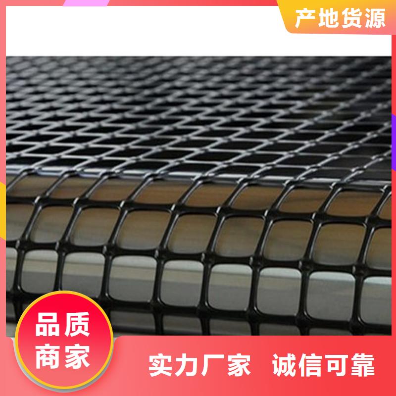 塑料土工格栅-钢塑土工格栅买的放心安兴用的舒心同城服务商