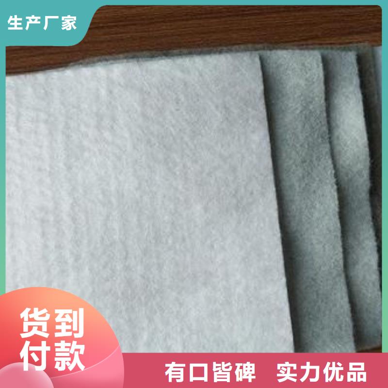 土工布塑料土工格栅量大更优惠源头厂家供应