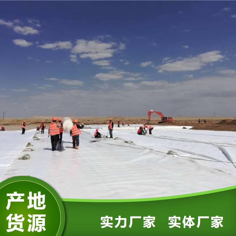 【土工布三维土工网垫诚信为本】专业设计