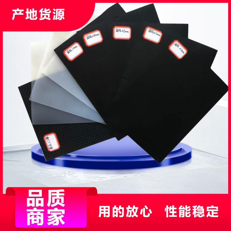 土工膜土工席垫自主研发订购
