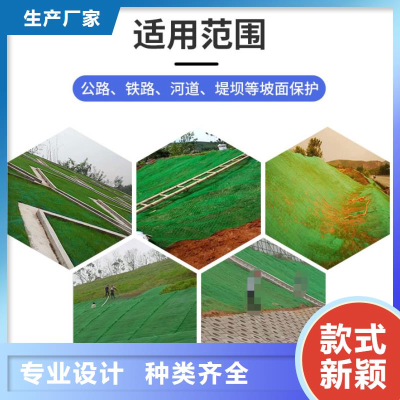 三维植被网钢塑土工格栅放心选购满足多种行业需求