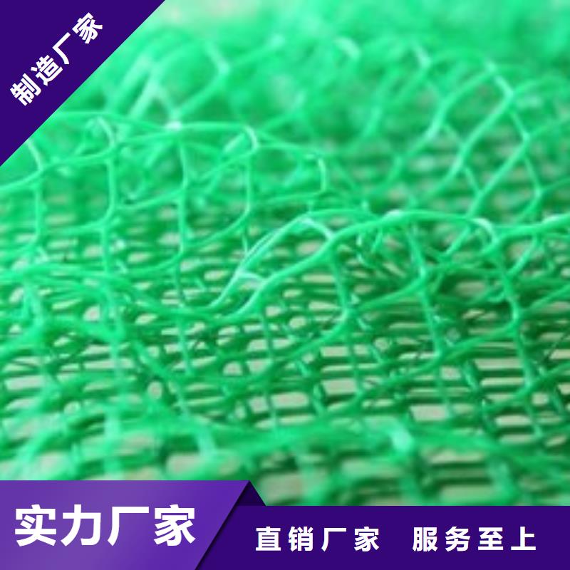 三维植被网透水土工布追求细节品质经久耐用