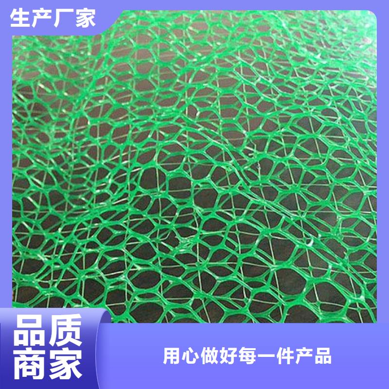 三维植被网聚乙烯土工膜精选优质材料本地厂家