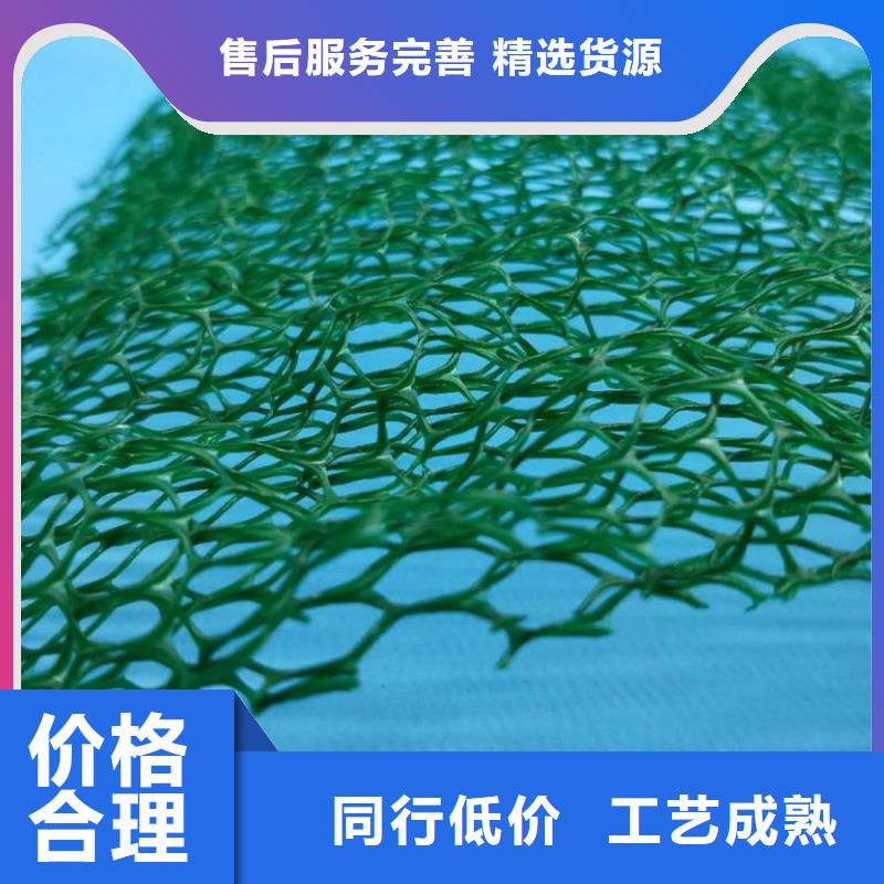 三维植被网-双向塑料土工格栅免费询价当地生产厂家