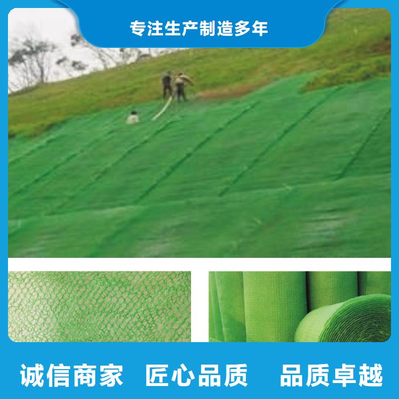 三维植被网-防水毯源头采购品质不将就