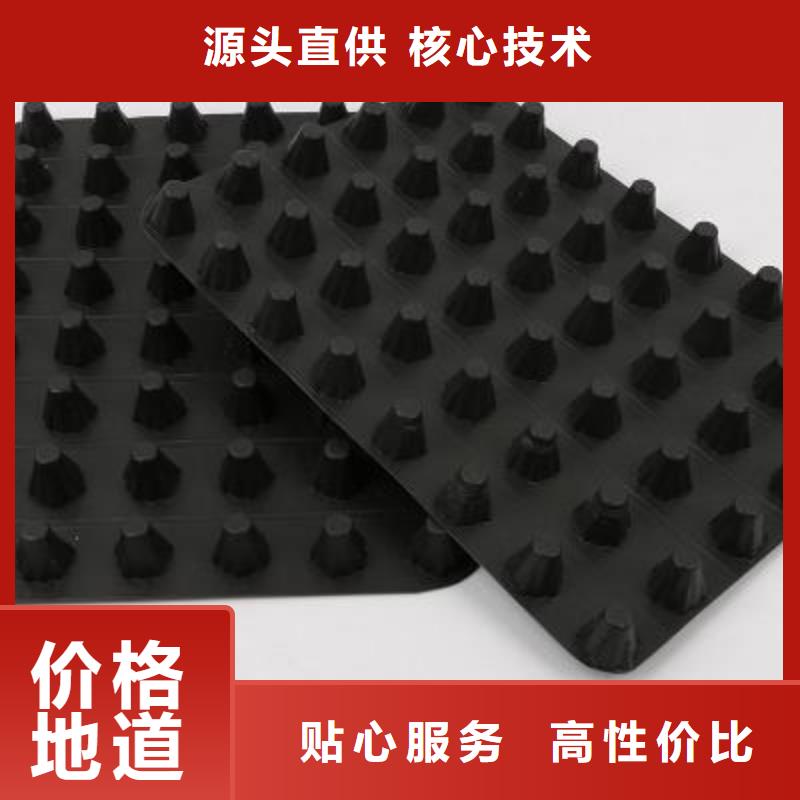 塑料排水板【护坡土工网】量少也做本地公司
