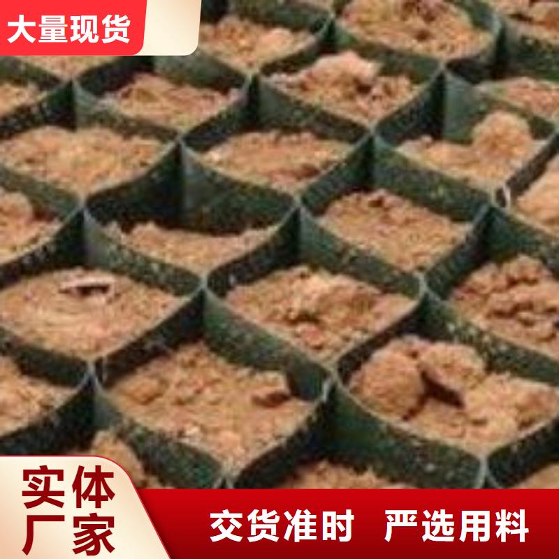 土工格室双向土工格栅多年经验值得信赖专注细节使用放心