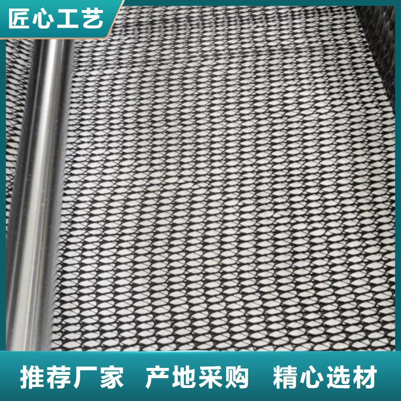 三维复合排水网土工格室支持大批量采购现货直发
