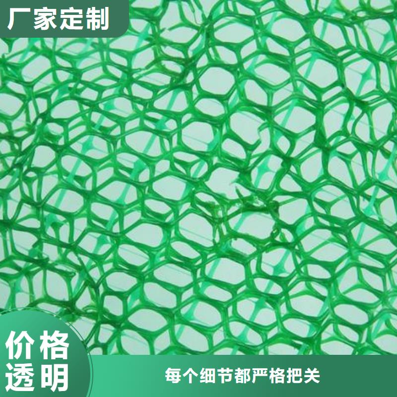 三维植被网三维土工网垫选择我们选择放心采购无忧