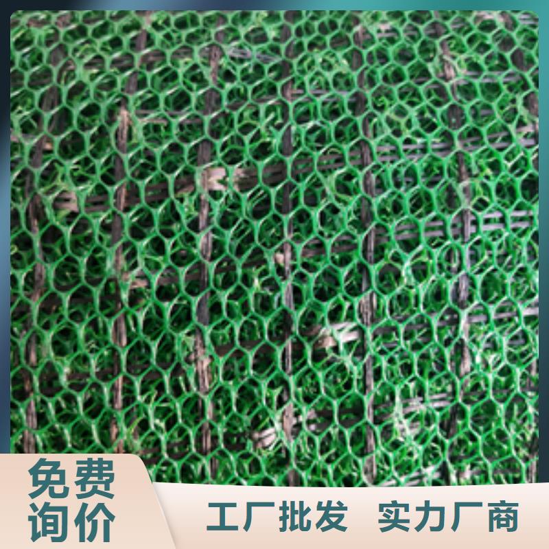 三维植被网严格把控质量出货及时