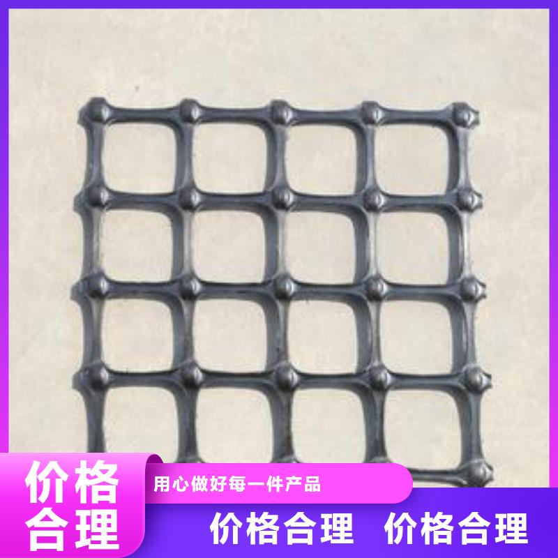 双向塑料土工格栅复合土工膜源头实体厂商定制速度快工期短