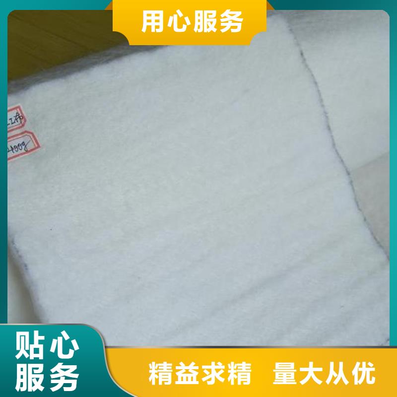土工布单向塑料土工格栅48小时发货现货交易