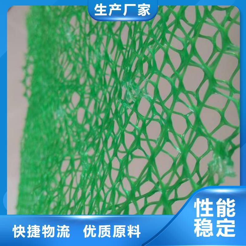 三维植被网满足多种行业需求当地生产厂家