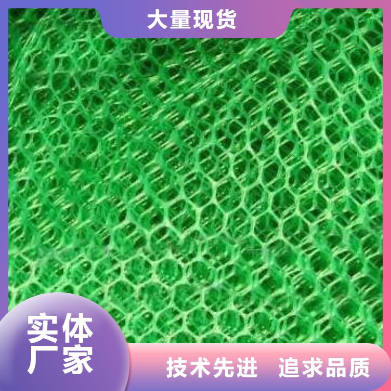 三维植被网毛细排水板生产安装品质之选