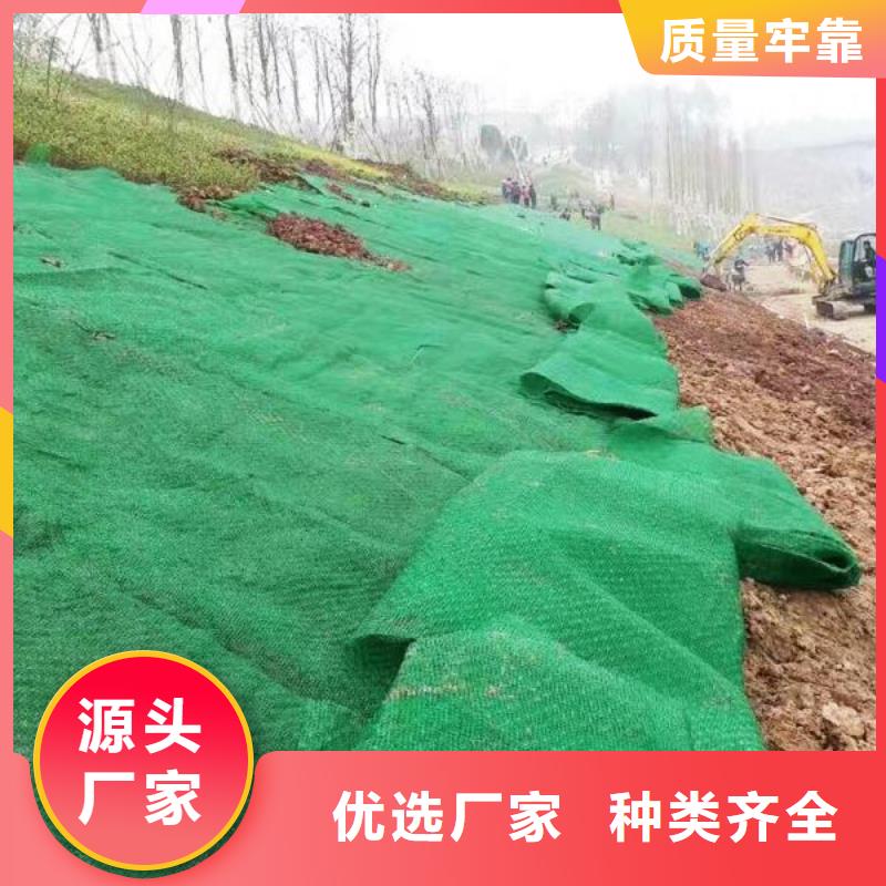 三维植被网短丝土工布源头厂家量大价优供应采购