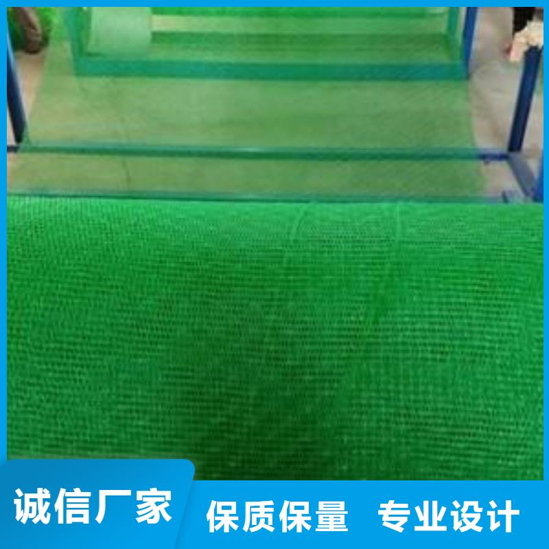 三维植被网玻纤土工格栅供您所需同城制造商