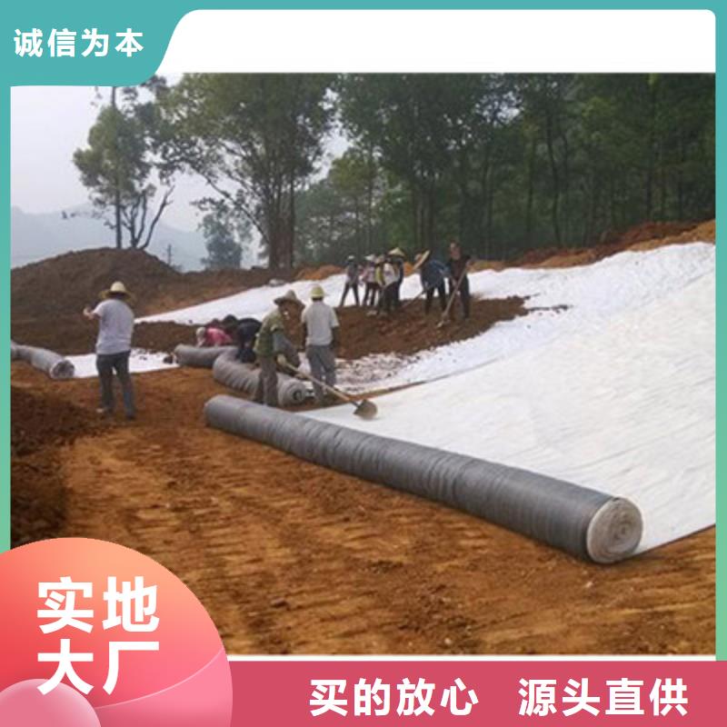 【膨润土防水毯三维复合排水网品牌企业】出厂价