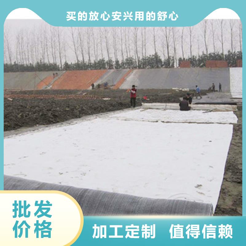 膨润土防水毯双向塑料土工格栅量大从优不只是质量好