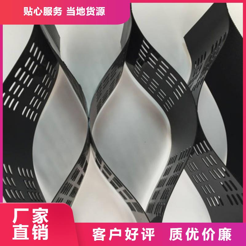 土工格室_双向塑料土工格栅批发商现货充足