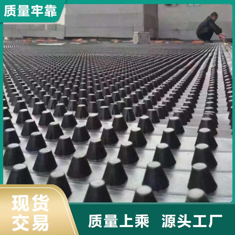 塑料排水板聚丙烯双拉土工格栅专业设计一手货源