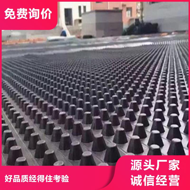 塑料排水板土工布型号全价格低当地生产厂家