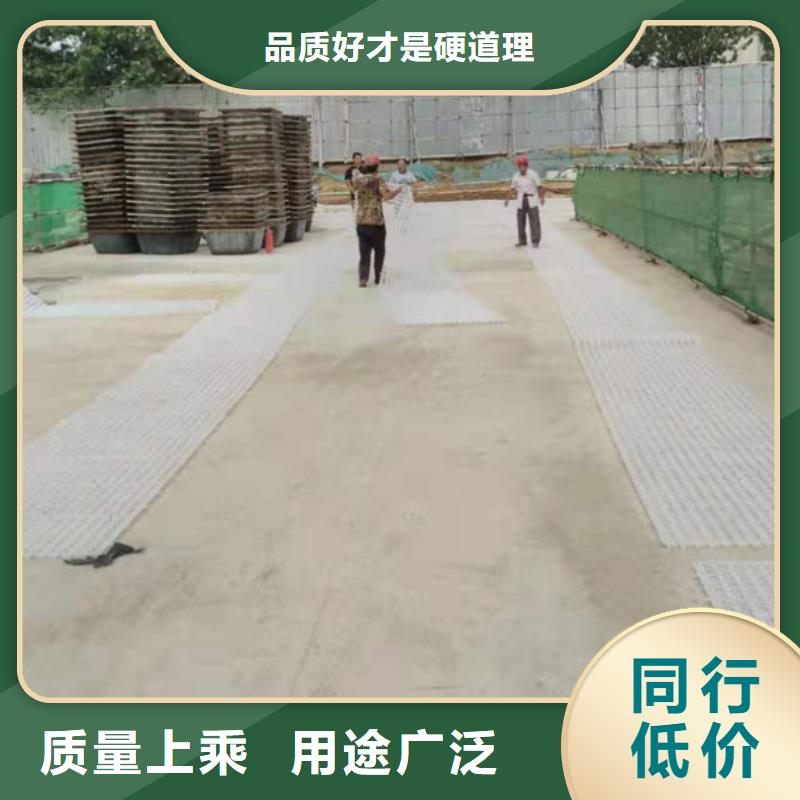 塑料排水板钢塑土工格栅厂家专业品质质量为本