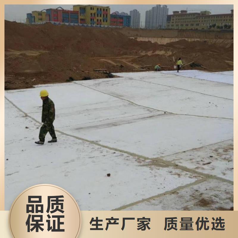 防水毯_【护坡土工网】销售的是诚信实力公司