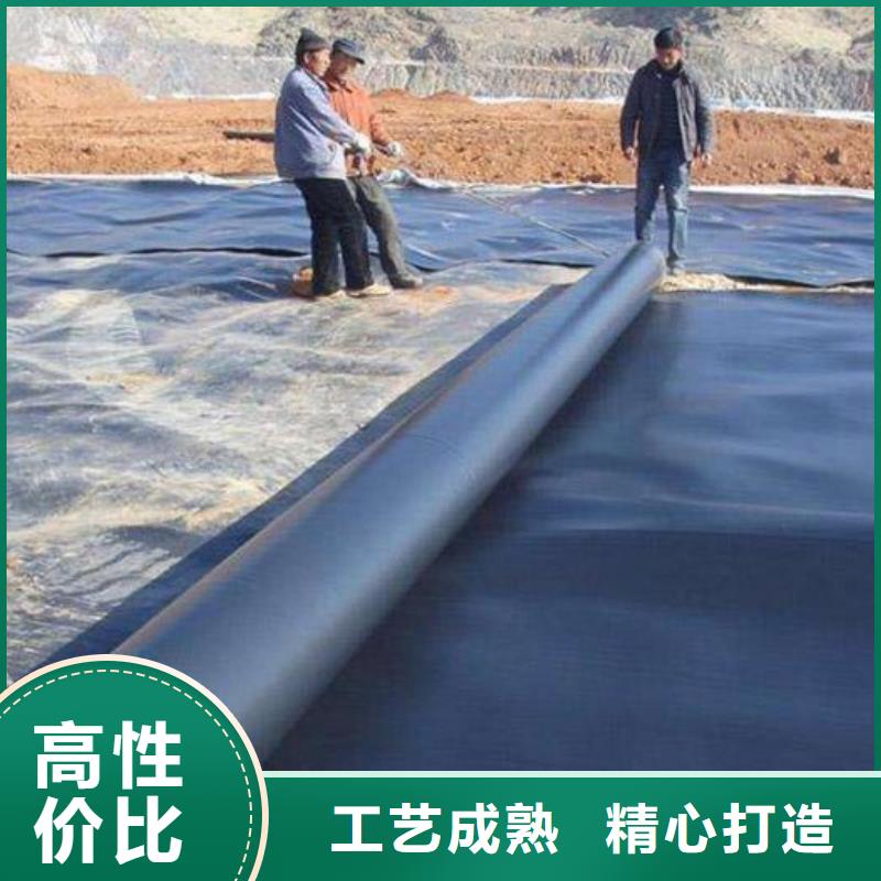 土工膜【聚丙烯双拉土工格栅】价格实惠工厂直供一站式采购商家