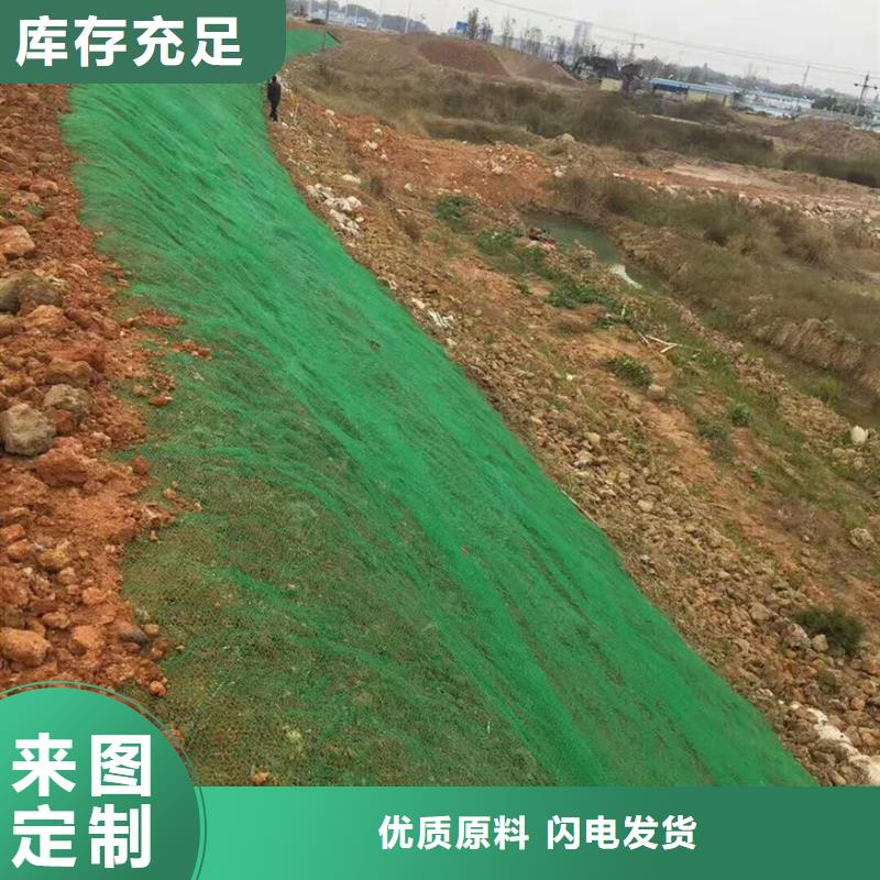 三维植被网土工格室全新升级品质保障工厂认证